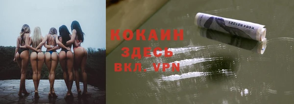 не бодяженный Алексин