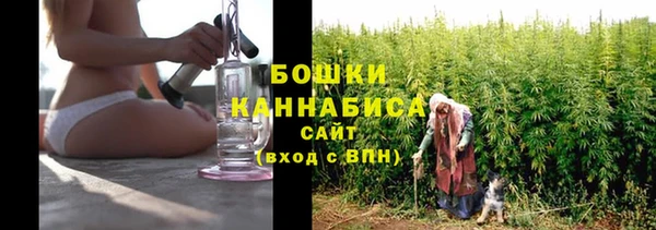соль ск Пестово