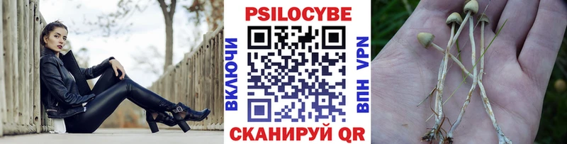 Галлюциногенные грибы MAGIC MUSHROOMS  купить наркоту  Ардон 